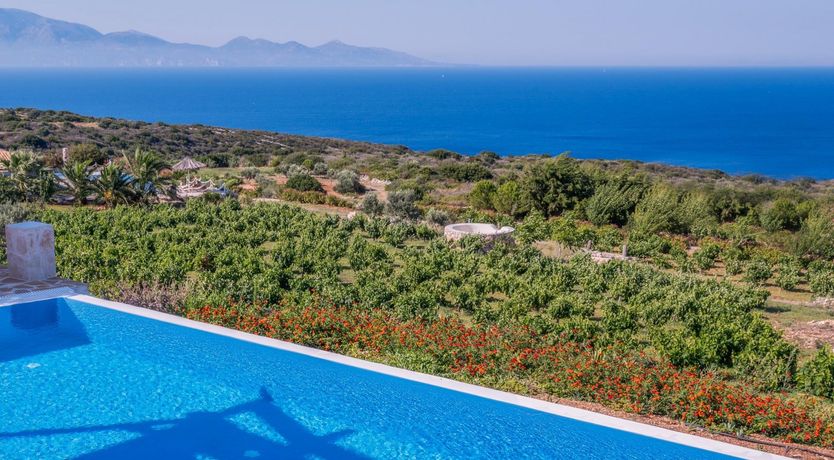 Photo of Elenora's Falcon