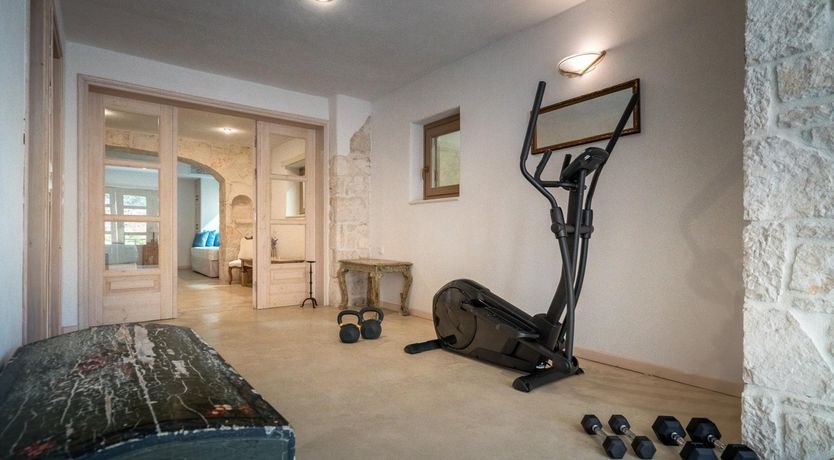 Photo of Elenora's Falcon