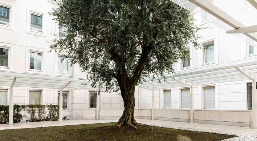 Photo of Sofisticata