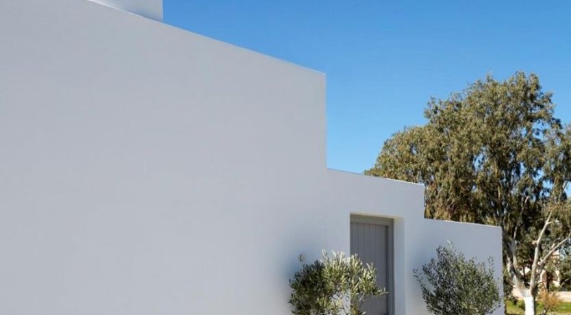 Photo of Porcelain Pegasus