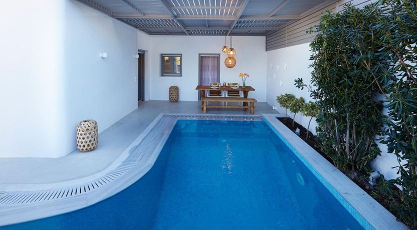 Photo of Porcelain Pegasus