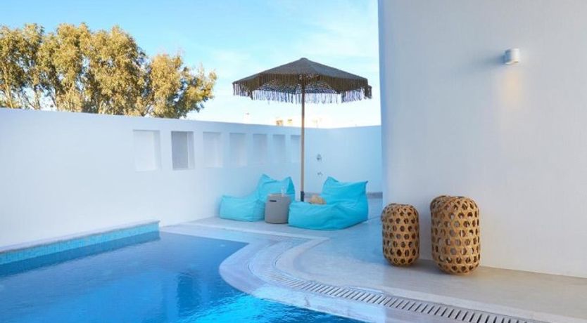 Photo of Porcelain Pegasus