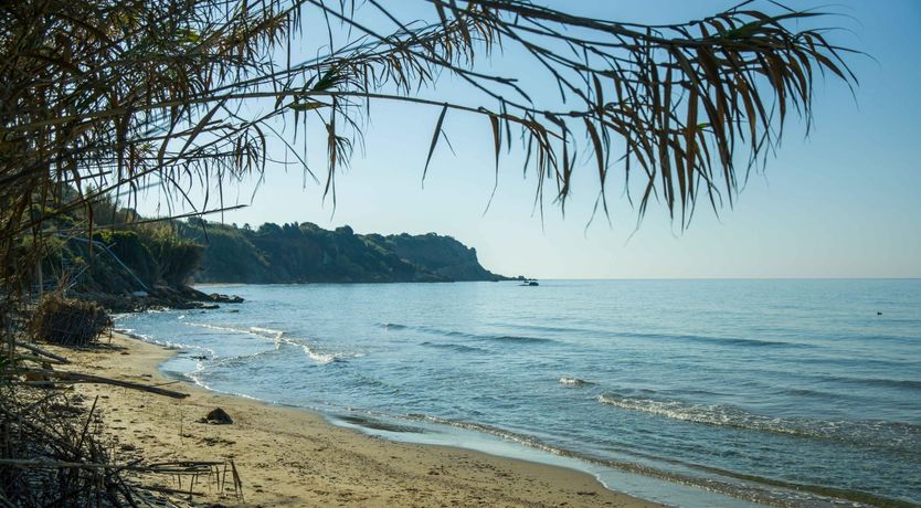 Photo of Citrus Bloom