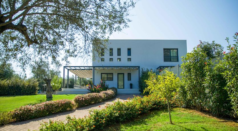 Photo of Citrus Bloom