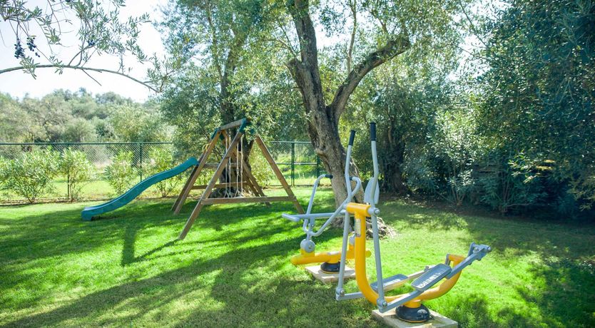 Photo of Citrus Bloom