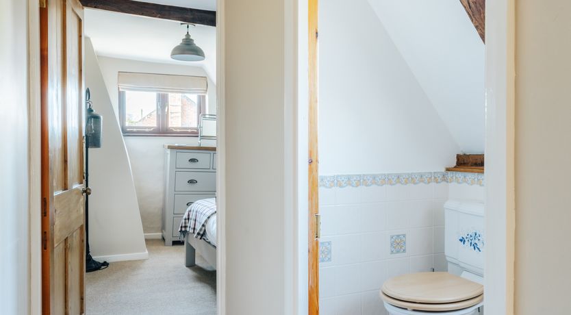 Photo of The Warmth of Spring