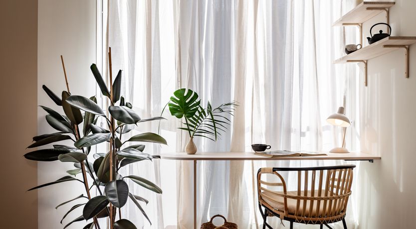 Photo of Candlenut & Sage