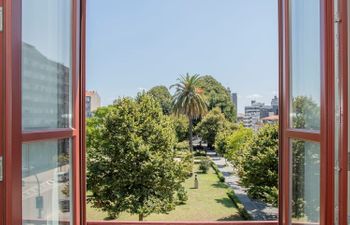 Port Glasses Clinking Apartment