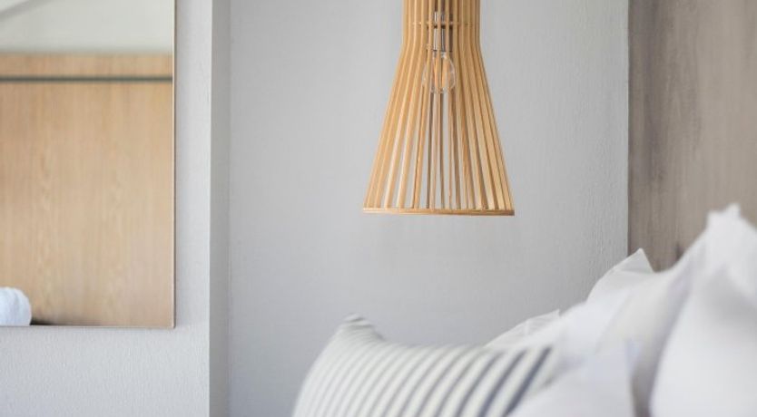 Photo of Violet Petals