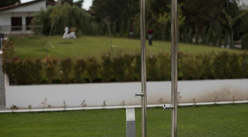 Photo of Violet Petals