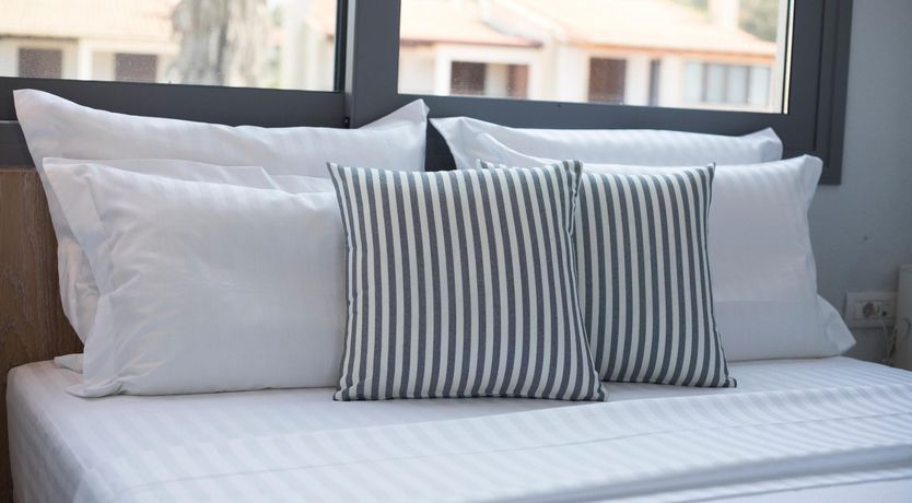 Photo of Violet Petals