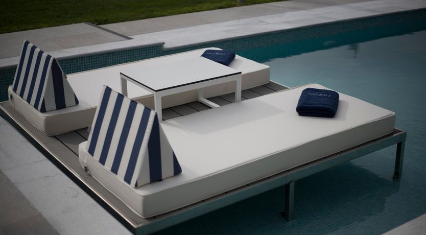 Photo of Violet Petals