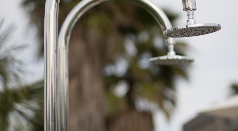 Photo of Violet Petals