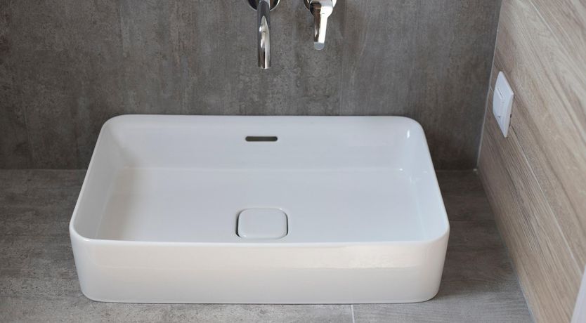 Photo of Violet Petals