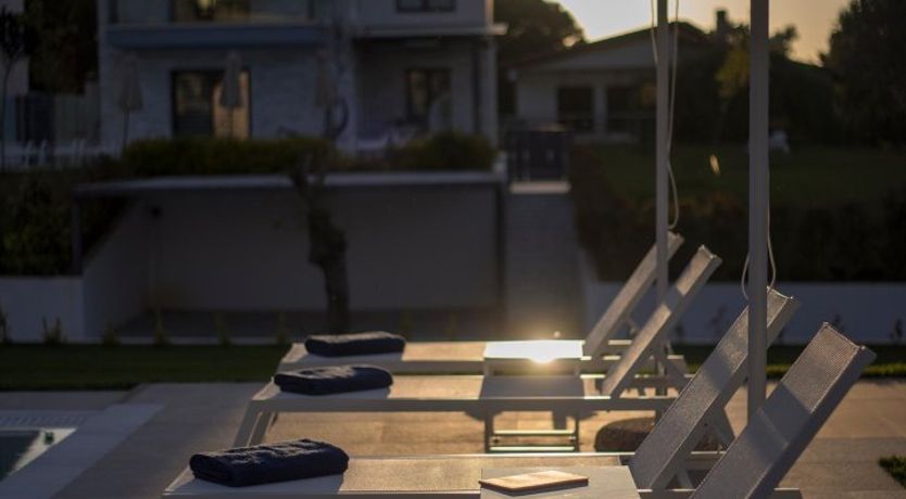 Photo of Violet Petals