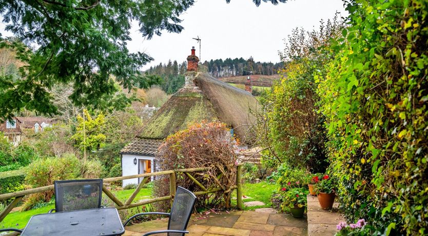 Photo of Honeycomb Hill