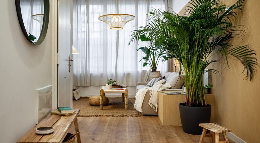 Photo of Butterscotch Swirl