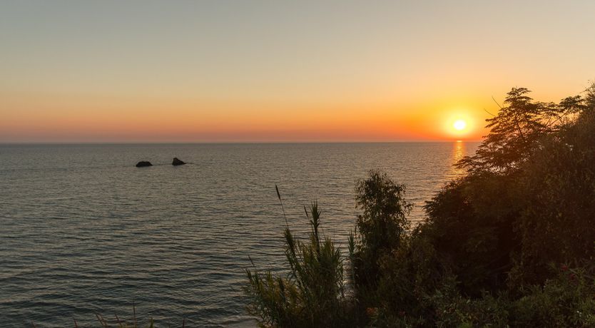 Photo of The Siren's Shanty