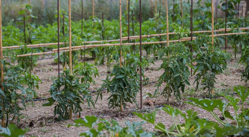 Photo of Pool of Light