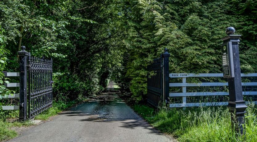 Photo of The Morris Dancer