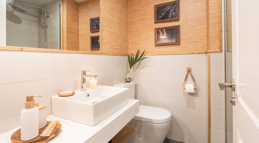 Photo of Parlour Palms