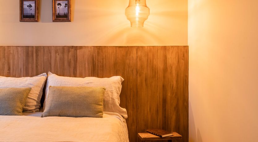 Photo of Parlour Palms