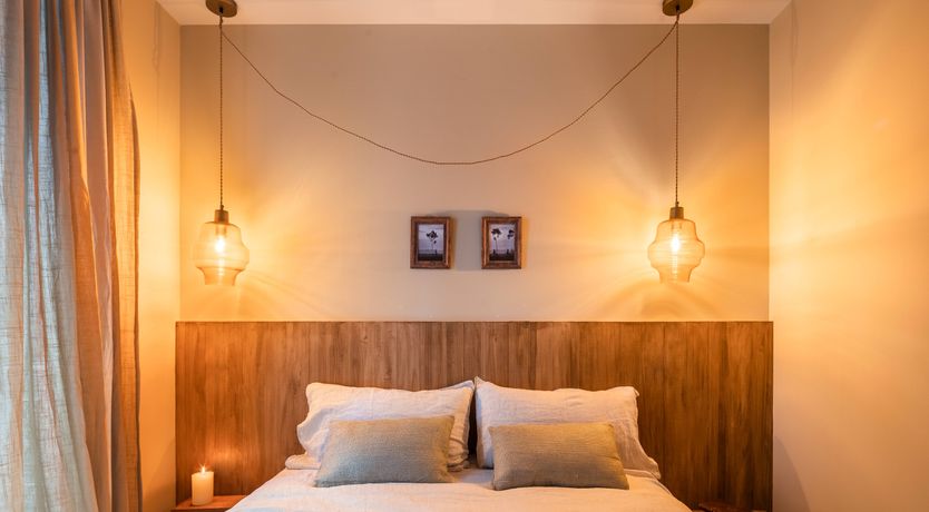 Photo of Parlour Palms