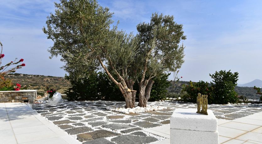 Photo of Lunar Power