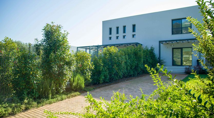 Photo of The Undiscovered Shore