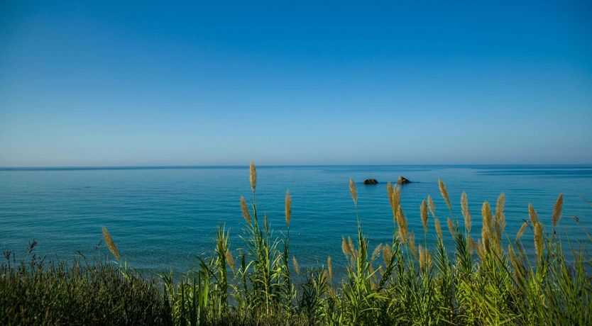 Photo of The Undiscovered Shore