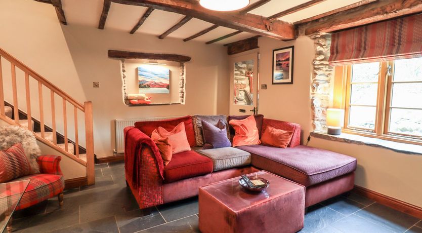 Photo of The Curious Orange