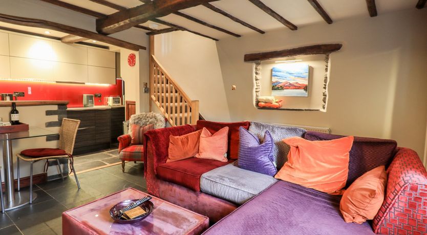 Photo of The Curious Orange