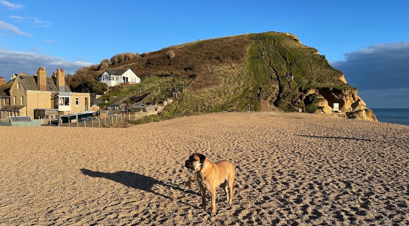 Photo of The Beach House