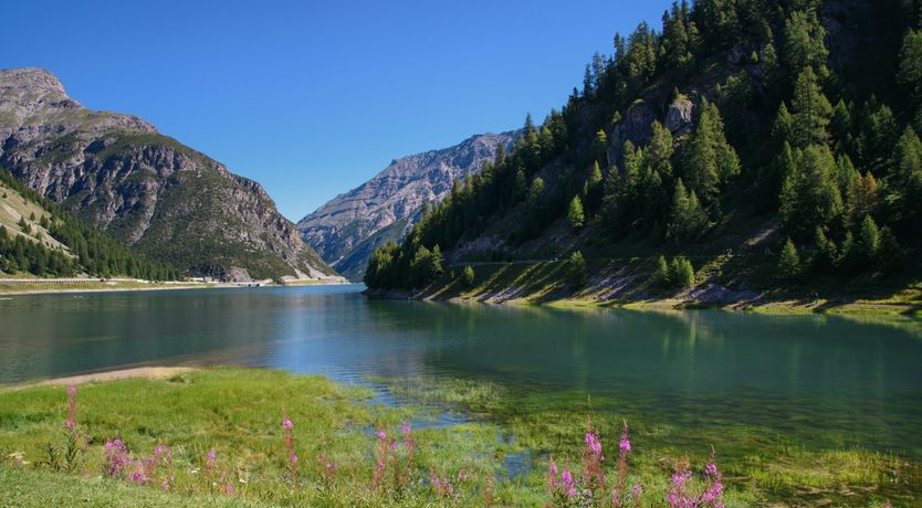 Photo of Warmth Within