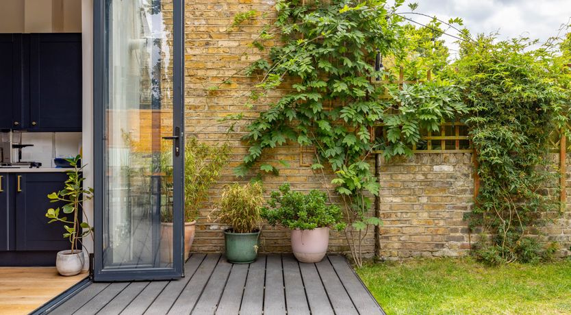 Photo of Under the Apple Tree