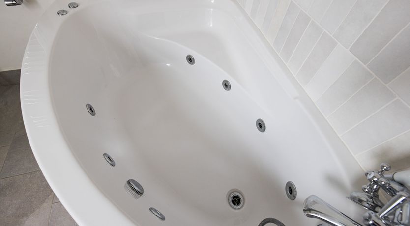 Photo of Under the Apple Tree