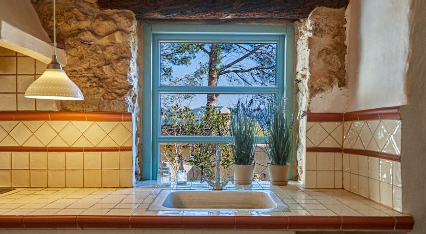 Photo of Sweet Honeysuckle