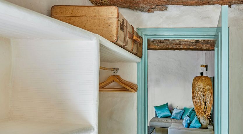 Photo of Sweet Honeysuckle