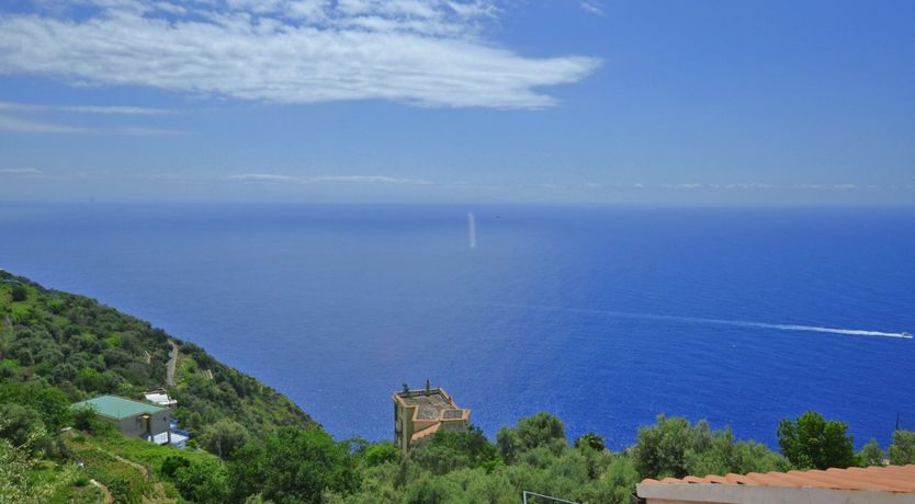 Photo of Dancing Tides