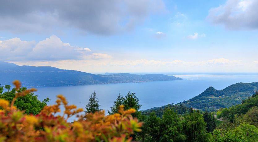 Photo of Garda Guardian