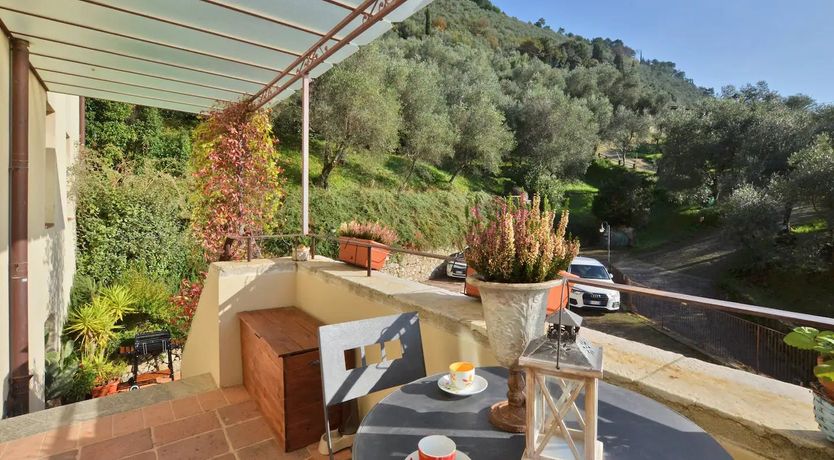 Photo of Timbered Sand