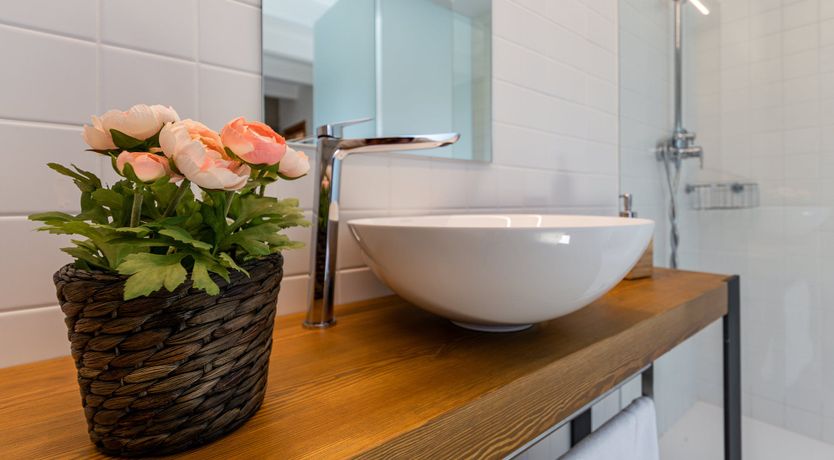 Photo of Pyrenees Vista