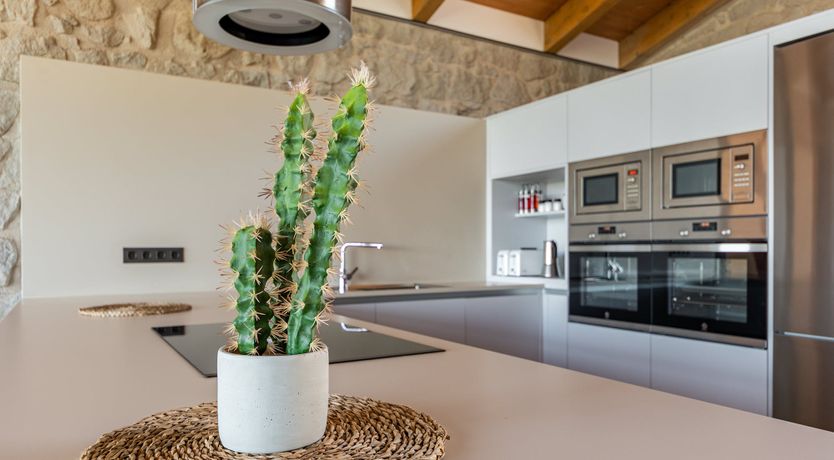 Photo of Pyrenees Vista