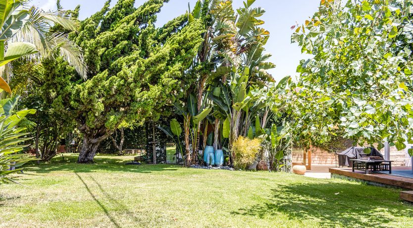 Photo of Seventies Soul