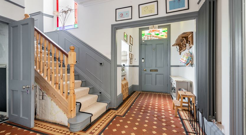 Photo of The Peacock's Feathered Plume