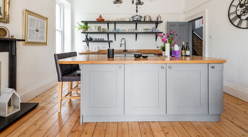 Photo of The Peacock's Feathered Plume