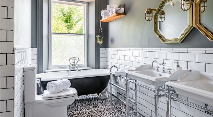 Photo of The Peacock's Feathered Plume