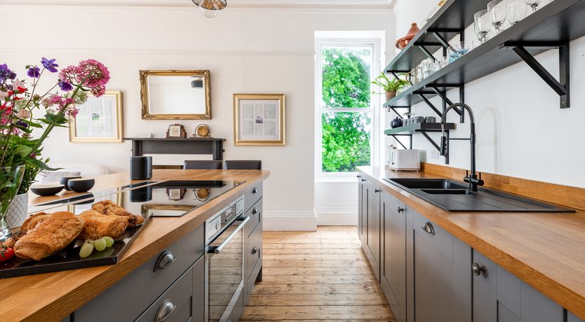 Photo of The Peacock's Feathered Plume