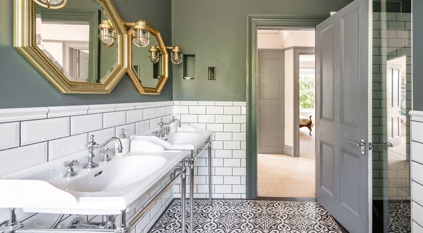 Photo of The Peacock's Feathered Plume