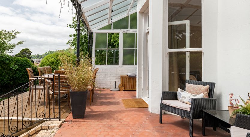 Photo of The Peacock's Feathered Plume